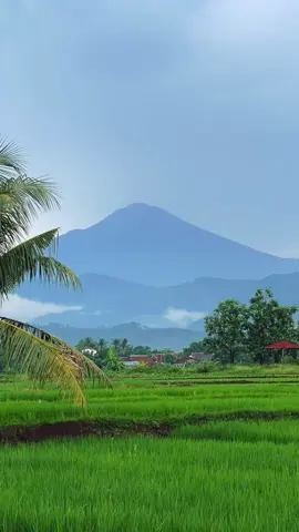 Swarane mba cantika nuswantoro jiaann vibes cocok tenan karo hawane 🥶🍃 #vibessore #cantikanuswantoro #adella #fypviralシ #masukberandafyp 