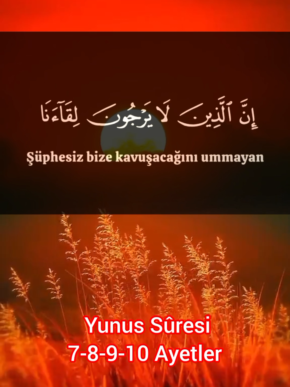 Kur'an'ı Kerim ve meali  huzur İslam'da  okuyan Ahmet El Acemi #quran #islamic-video #fypシ゚viral🖤tiktok #fyppppppppppppppppppppppp #fypp 