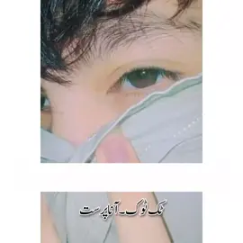 #آصی #عارضی۔گرافی #سرائیکی۔شاعری 