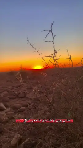 #تصويري_احترافي_الاجواء👌🏻🕊😴 