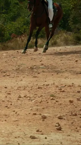 حب من اول نظرة 💔🥹