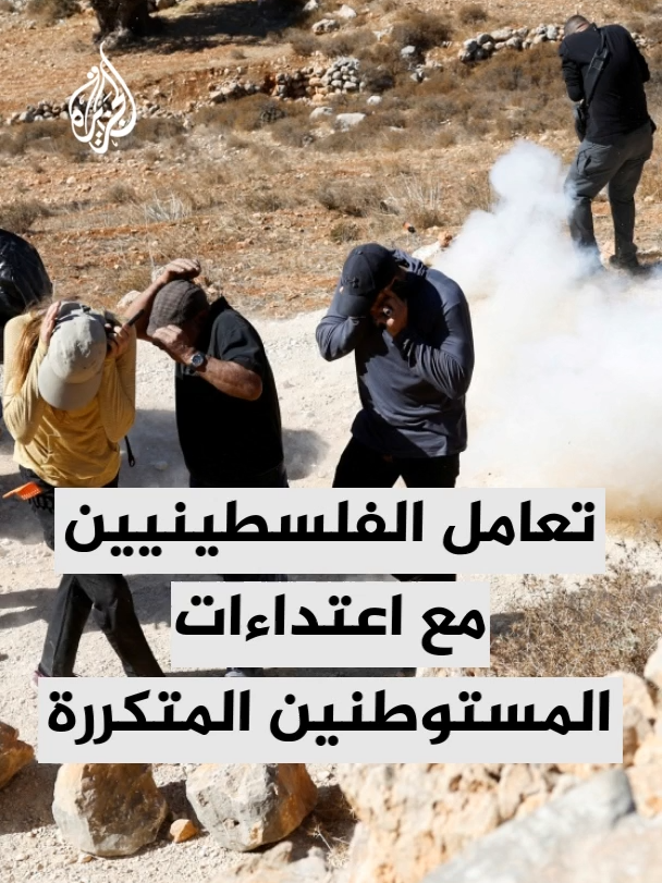 كيف يتصدى الفلسطينيون لاعتداءات المستوطنين المتكررة في الضفة الغربية خاصة خلال موسم قطف الزيتون؟ #الأخبار