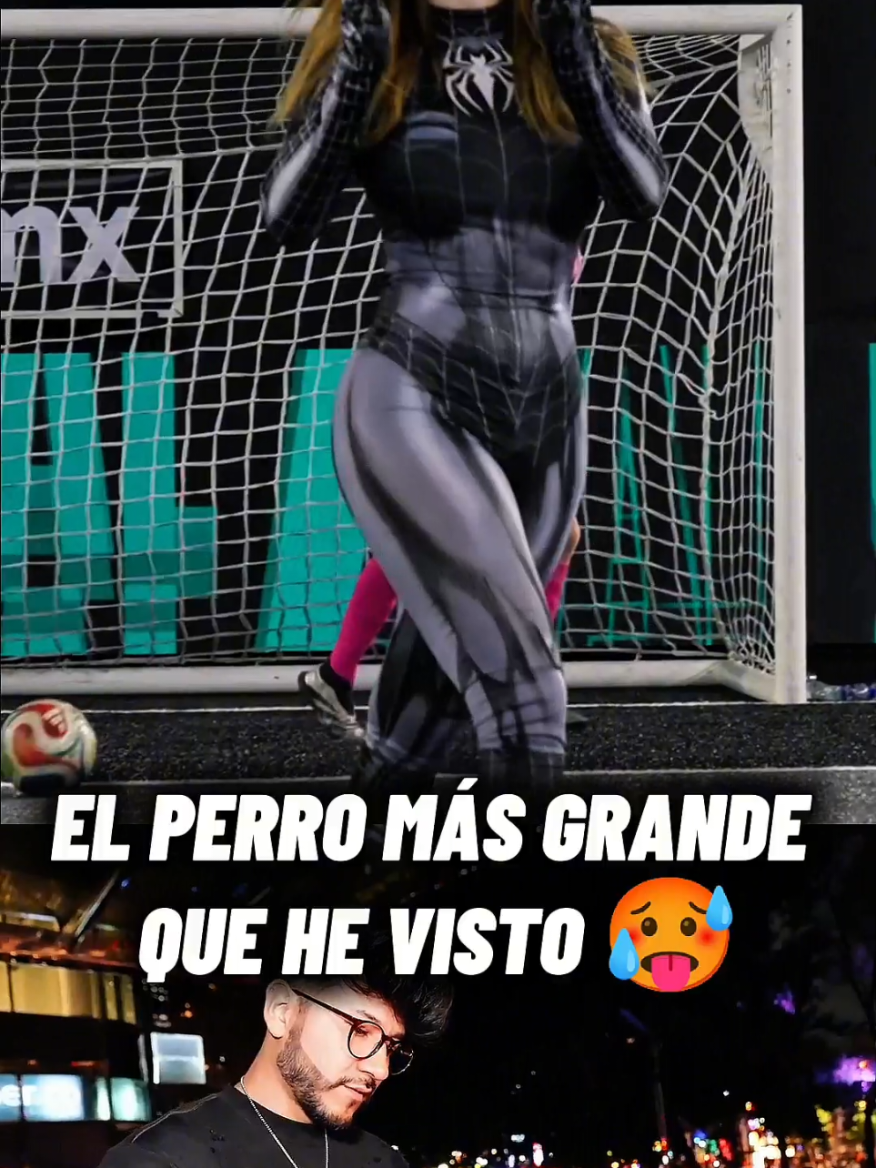 El perro más grande que he visto!! Zein se sorprende con perro enorme #potencial #perrazo #zeein #viral #zein 