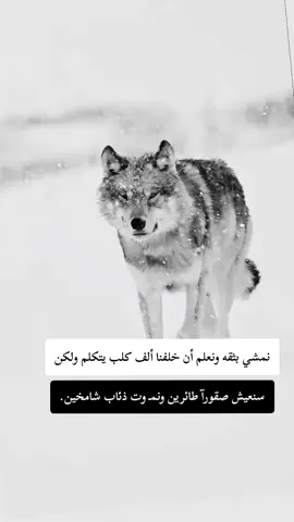 #F #fyp #f #شعب_الصيني_ماله_حل😂😂 #شلفاوة_والحلاوة🔥 