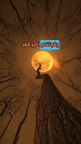 اكبر واسطع قمر عملاق بسنة ٢٠٢٥ وبإمكانكم رؤيته بالعين المجردة  #تعلم_على_التيك_توك #قمر #وسامز #السعودية #space 