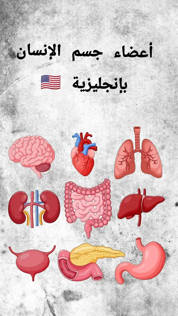 #تعلم_اللغة_الإنجليزية #تغطيات_الرياض #english #virlvideo #tiktok 