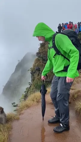 there it goes my umbrella 