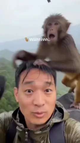 monkey stole an umbrella from a tourist and flew away on it back to the jungle. The perfect crime garnered 7 million views in just a couple of days. This time, it's definitely not AI.