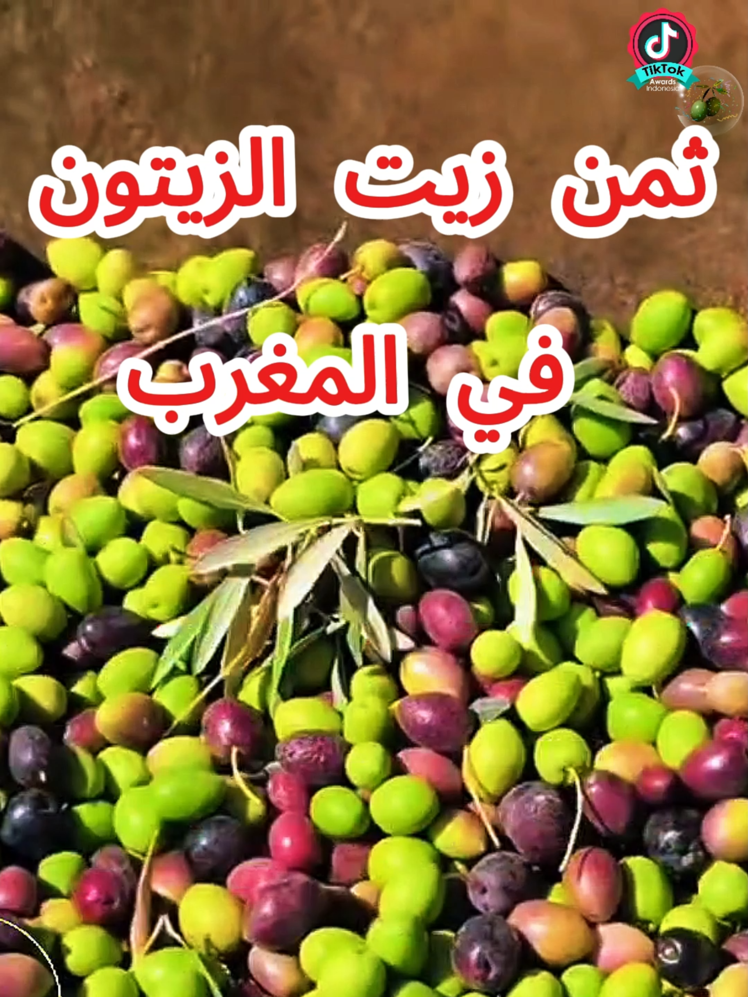 ثمن زيت الزيتون في المغرب #زيت_الزيتون #زيتون #viral