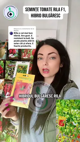 Ca răspuns pentru @Miadia Rila este unul dintre cei mai buni hibrizi, ieftin și rezistent la boli. Este foarte productiv #seminterila #rilaf1 #agromedicro #seminteproductive @✅Doctorul Plantelor✅🍇🌳🍅🌱 @Vitana Romania @Corina Bedreag 
