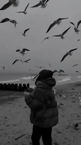 يارب فرحه مقدماً 🌤🎧🎼#فيديوهات #foryou #تصاميم_فيديوهات🎵🎤🎬 #اكسبلورexplore #fypシ 