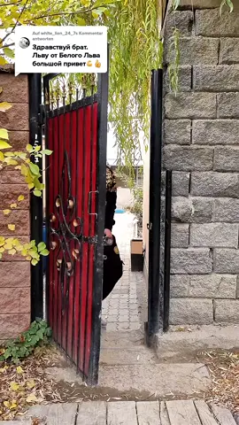 #спасибочтовысомной☘🙏☘ #лев87 #хочуврекомендаци🤗 #dammy11 #знаешьбратан😉   