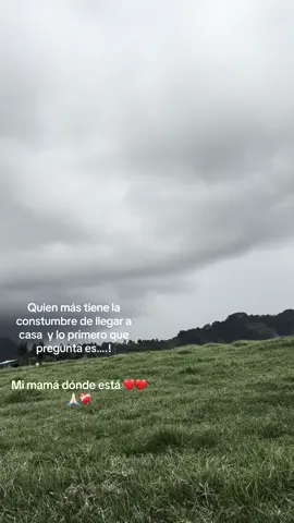 #tiktok #flypシ #madre #teamo 