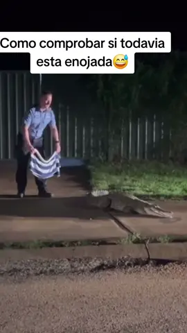 Como comprobar si todavia esta enojada😅 #fyp #foryou #funny #funnyvideo  #funnyvideos 