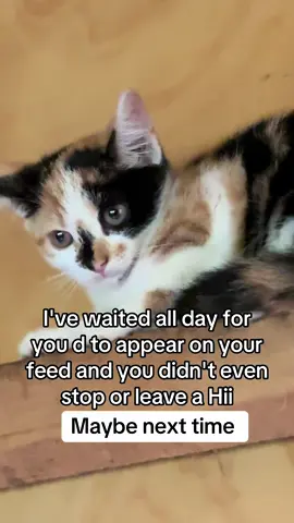 Please interact with this video if you think we are worthy a new shelter. Donation link in bio