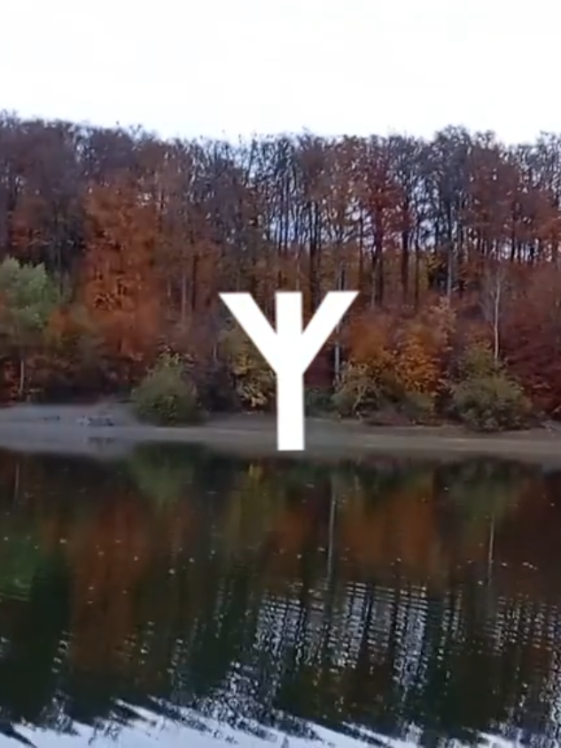 #black_metal #нежеголь 