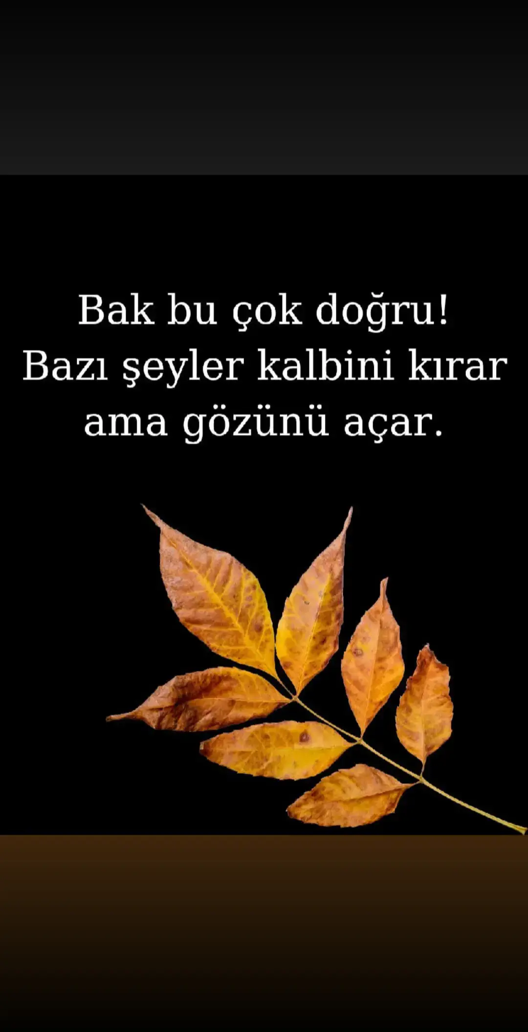 🇹🇷🇹🇷🇹🇷