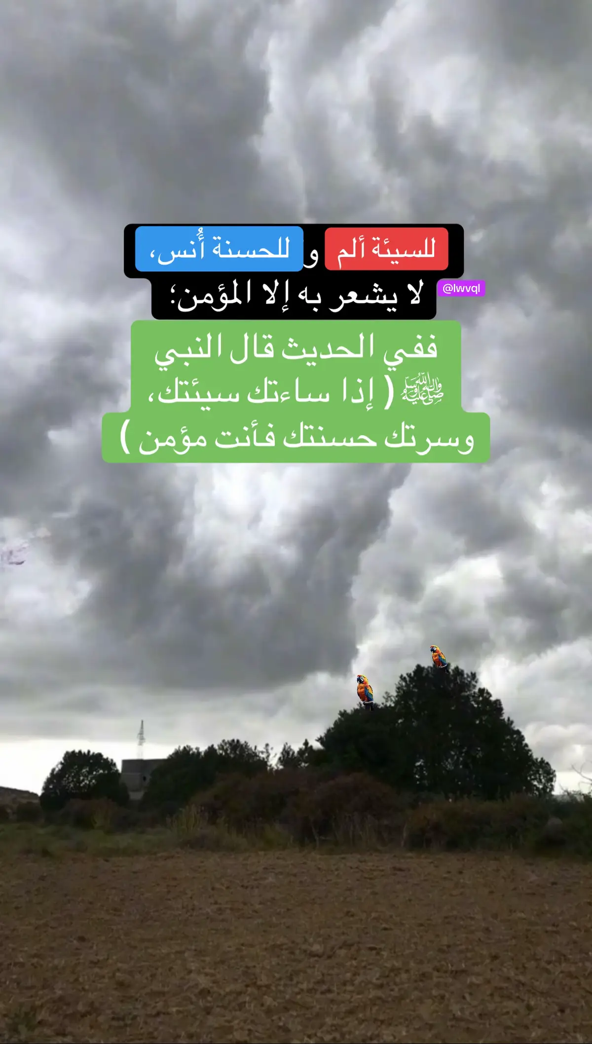 #BOOK  #كتب  #كتاب  #واعي  #ترند 