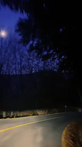 Kim bu acımasız KATİLLER!