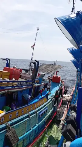 💦#pkl#lewatberanda#fypp#kapalpursesainejuwana#asiamakmurgroupjuwana 