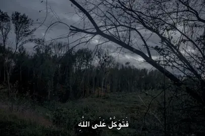 #محمد_صديق_المنشاوي #المنشاوي #quran #fyp #🎧 