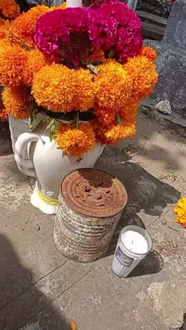 esos chinos colándose en todo xd  #diademuertos #senpasuchil🏵 #noviembre #31deoctubre #velada 