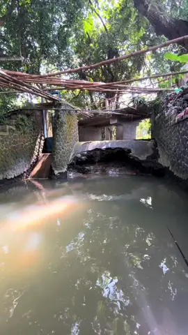 uhuyyy#mancingmania #mancingliar #mancing #microfishing 