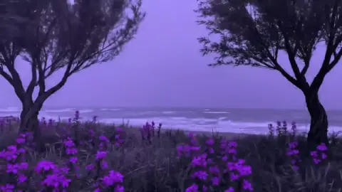 Dark Beach 💜 (one of my fav vids :3) || #pmghxst #fyp #nightcore #pastelghost #darkbeach #viral #xybca #darkvibes 