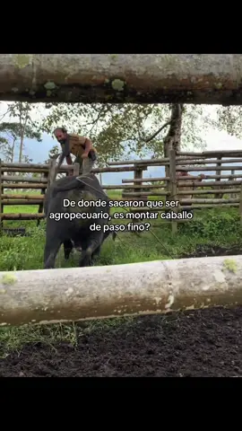 De donde sacaron eso? #agro #ganadaria #caficultor #campo  #agropecuario 