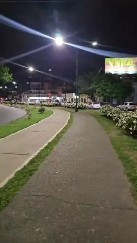 #kafka #gregoriosamsa #metamorfosis #methamorphosis #halloween 