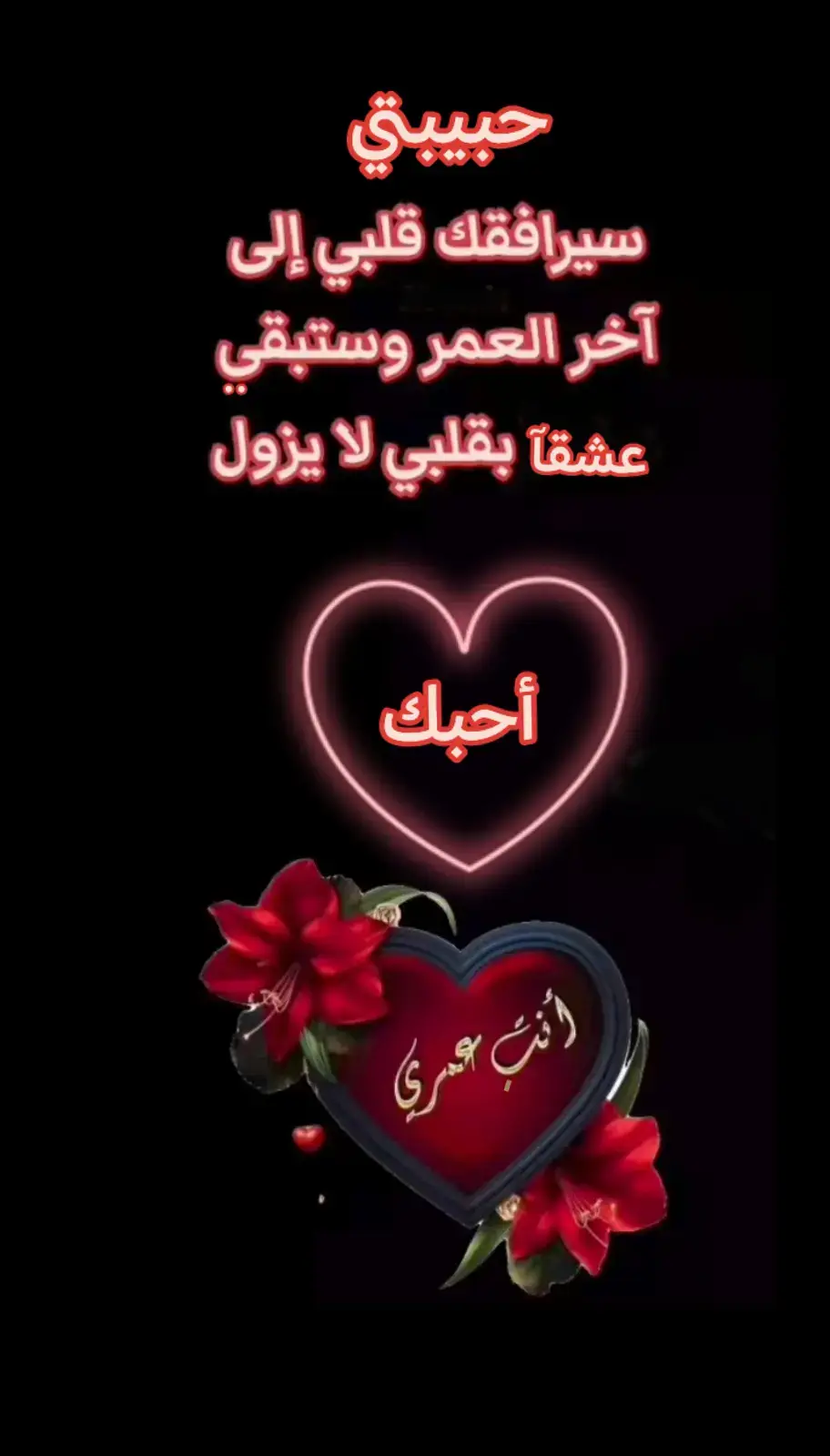 ستبقي عشقي الذي لايزول ❤️❤️ #الحب❤️❤️ 