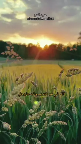 الشيخ احمد الوائلي رحمه الله 🤲  #احمد_الوائلي #احمدالوائلي_رحمه_الله #احمدالوائلي_رحمه_الله☹️ #احمدالوائلي_روح_المنبر_الحسين #الشيخ_الوائلي 