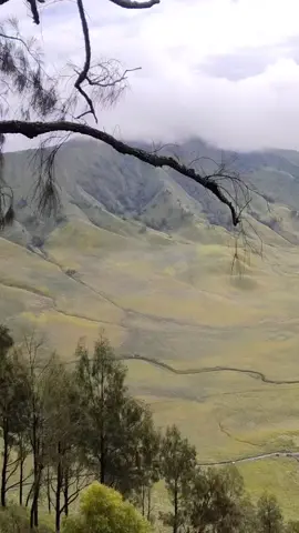 beautiful #fyp #bukit 