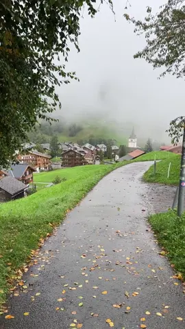 #سويسرا #انترلاكن #جريندلوالد #النمسا #كابرون 