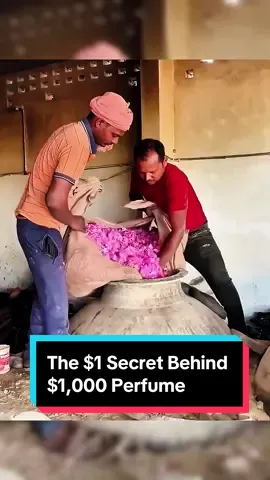 The $1 Secret Behind $1,000 Perfume#RoseOil #PerfumeSecrets#DidYouKnow #knowledge #usa_tiktok