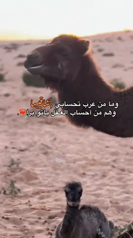 وهم ومن أحساب العقل باتو برا ❤️‍🔥. #fyp #صحراء_الغربية #شعراء_وذواقين_الشعر_الشعبي 