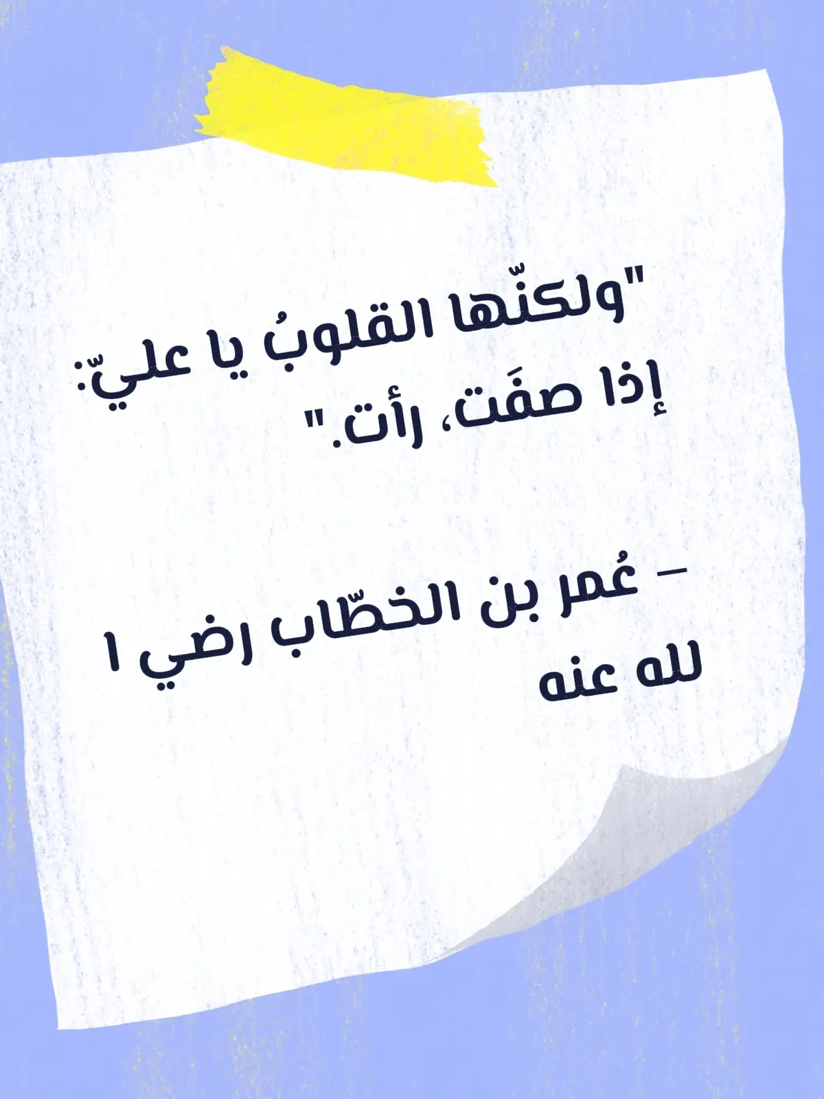 #purple #butterfly #الفراشة #foryou #عمر_بن_الخطاب 