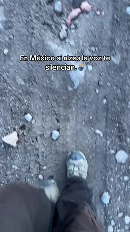 Tqm Carlos Manzo  #fypシ゚ 