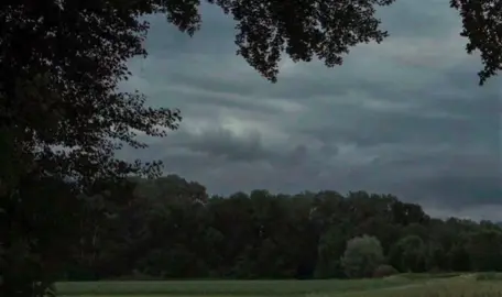 #قرأن_كريم  محمد صديق المنشاوي || سورة الكهف #محمد_صديق_المنشاوي #المنشاوي_قرآن_كريم #قرأن_كريم_راحة_نفسية #قرآن 