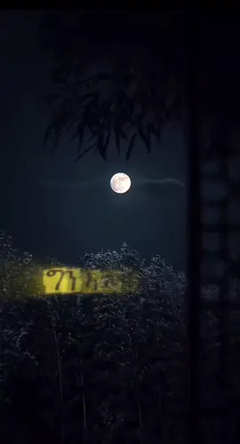 #abrahamafewerki🤴🇪🇷king #abrahamafewerki🤴🇪🇷🖤🥺king❤🌍🥰🔥🔥 #abrahamafewerki🤴🇪🇷🖤🥺king❤🌍🥰🔥🔥 #abrahamafewerki🤴🇪🇷🖤🥺king❤🌍🥰🔥🔥 #abrahamafewerki🤴🇪🇷king 