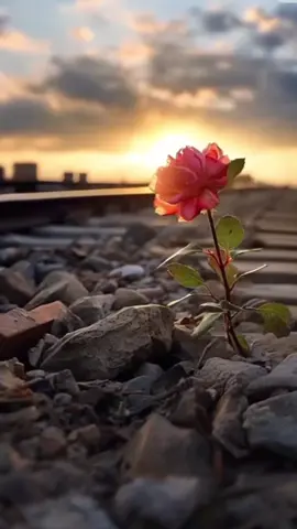 ضمني اوية طرواك ٢ (بصوتي)#تصميم_فيديوهات🎶🎤🎬 