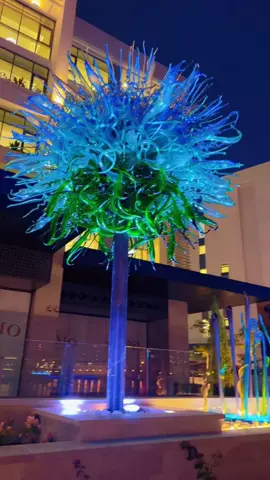 Qatar 🇶🇦❤️🇶🇦 #qatar #night #vibes #beauty #views 