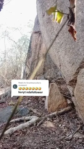 Replying to @lissahmarurike 😂😂😂#aromandee #zimtiktokers🇿🇼🇿🇼🇿🇼 #fyp 