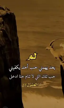 #هشتاق  #حسابي_جديد  #الفزعه 