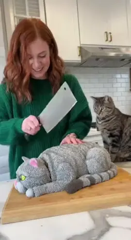 cute cat cake prank #catlover #prank  #pet #cat #cakeprank 