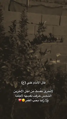 #شاركوا🤎👇  .  .  .  .  #مشاهير_تيك_توك #العراق🇮🇶 #متابعه #اكسبلور 