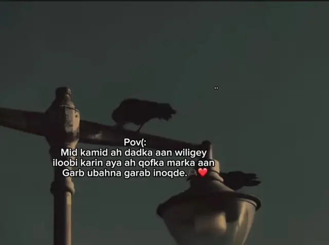 lovsaar#fyyyyyyyyyyyyyyyy 