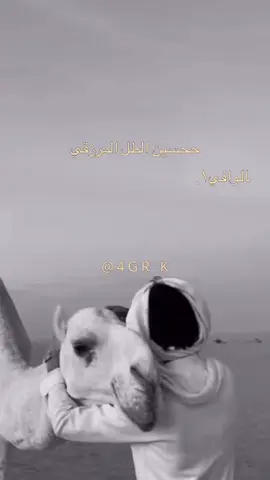 حسين الطل المرزقي #جديد #قصيدة_شعر_أبيات #شبوه_ديرتي_مسقط_الراس💕 #fypシ゚ #fypシ゚viral🖤tiktok 