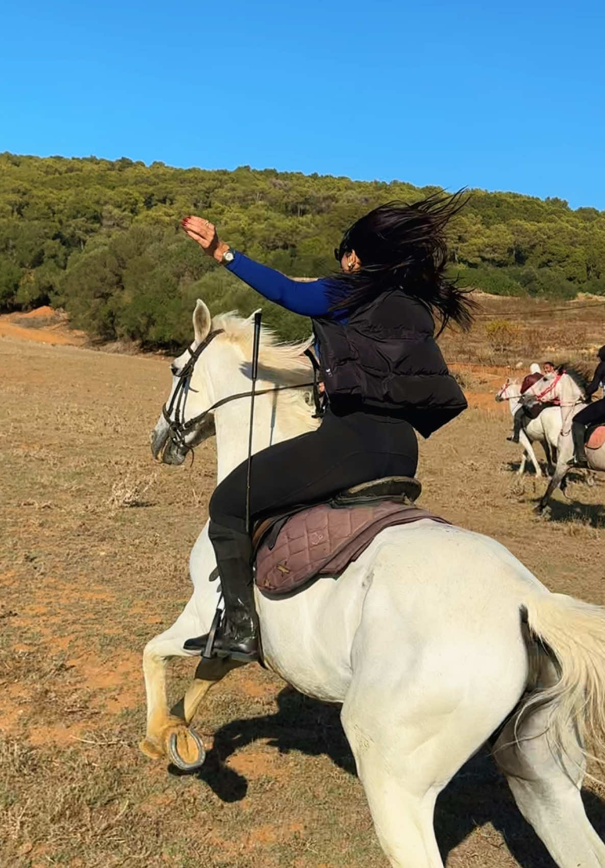 الراحة النفسية 🤤🥹 #algeria #algerie🇩🇿 #dzpower #horsegirl #horsesontiktok 
