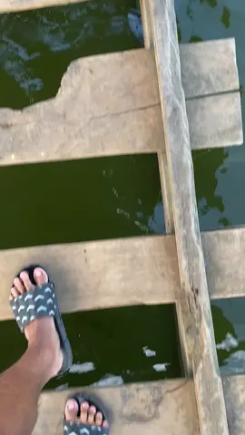 #tamanhidup #argopuro 